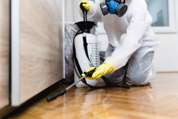 Best Best Pest Control Companies  in Pleasant View, TN