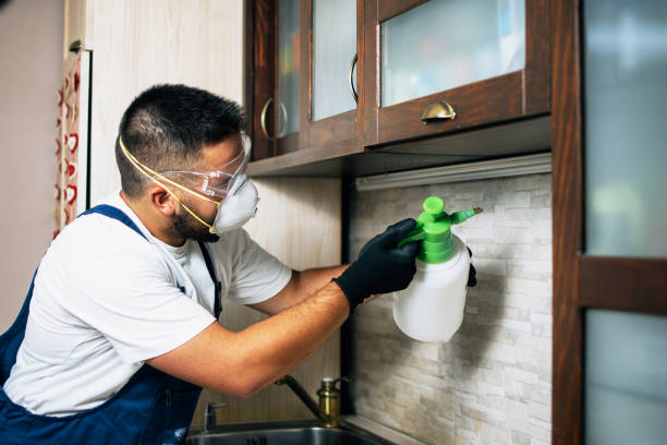 Best Wasp Removal Services  in Pleasant View, TN