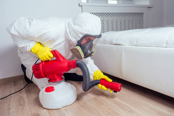 Best Flea Control Services  in Pleasant View, TN