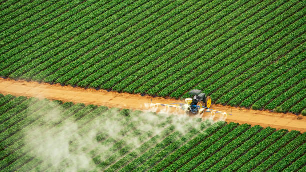 Best Termite Control Services  in Pleasant View, TN