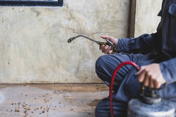 Best Pest Removal Services  in Pleasant View, TN