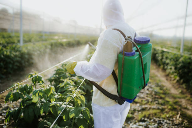  Pleasant View, TN Pest Control Pros